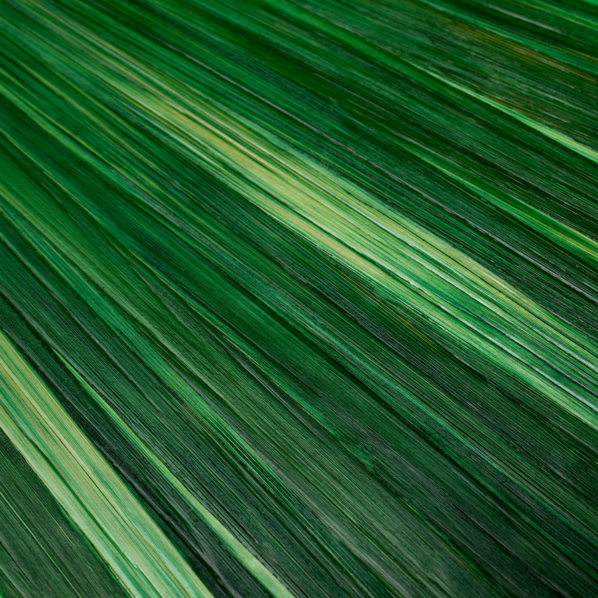 Green Desk Tray Harvard | Eichholtz Miami
