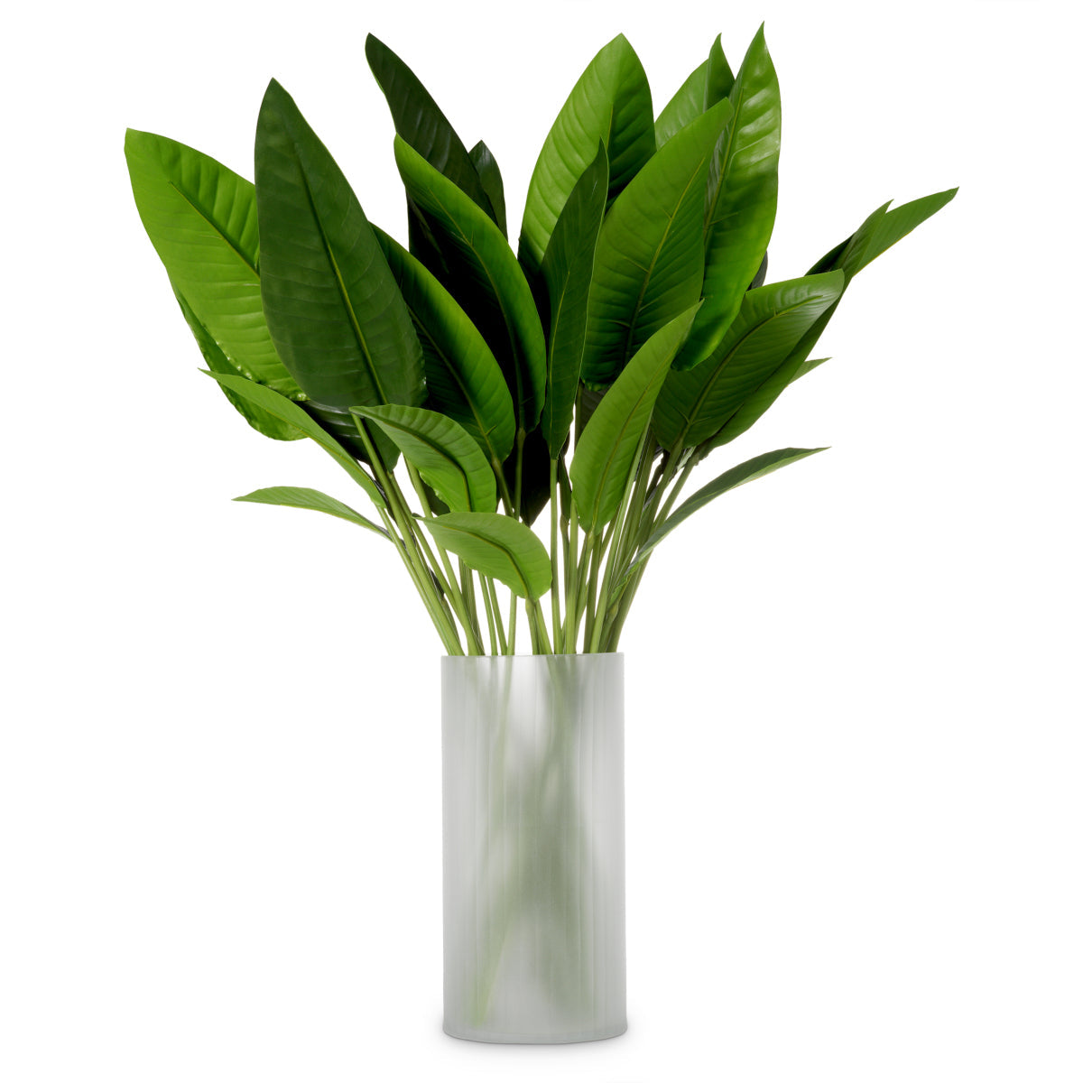 Green Leaves (36) Strelitzia | Eichholtz Miami