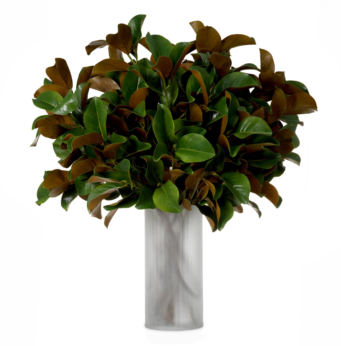 Green Foliage Leaves (24) Magnolia | Eichholtz Miami