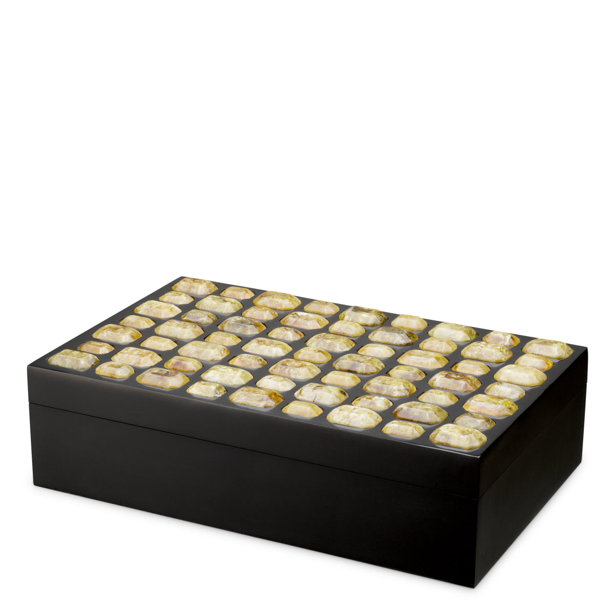 Black Faux Amber Box Lucida | Eichholtz Miami