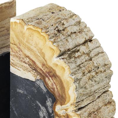 Petrified Wood Bookends (2) Opia | Eichholtz Miami