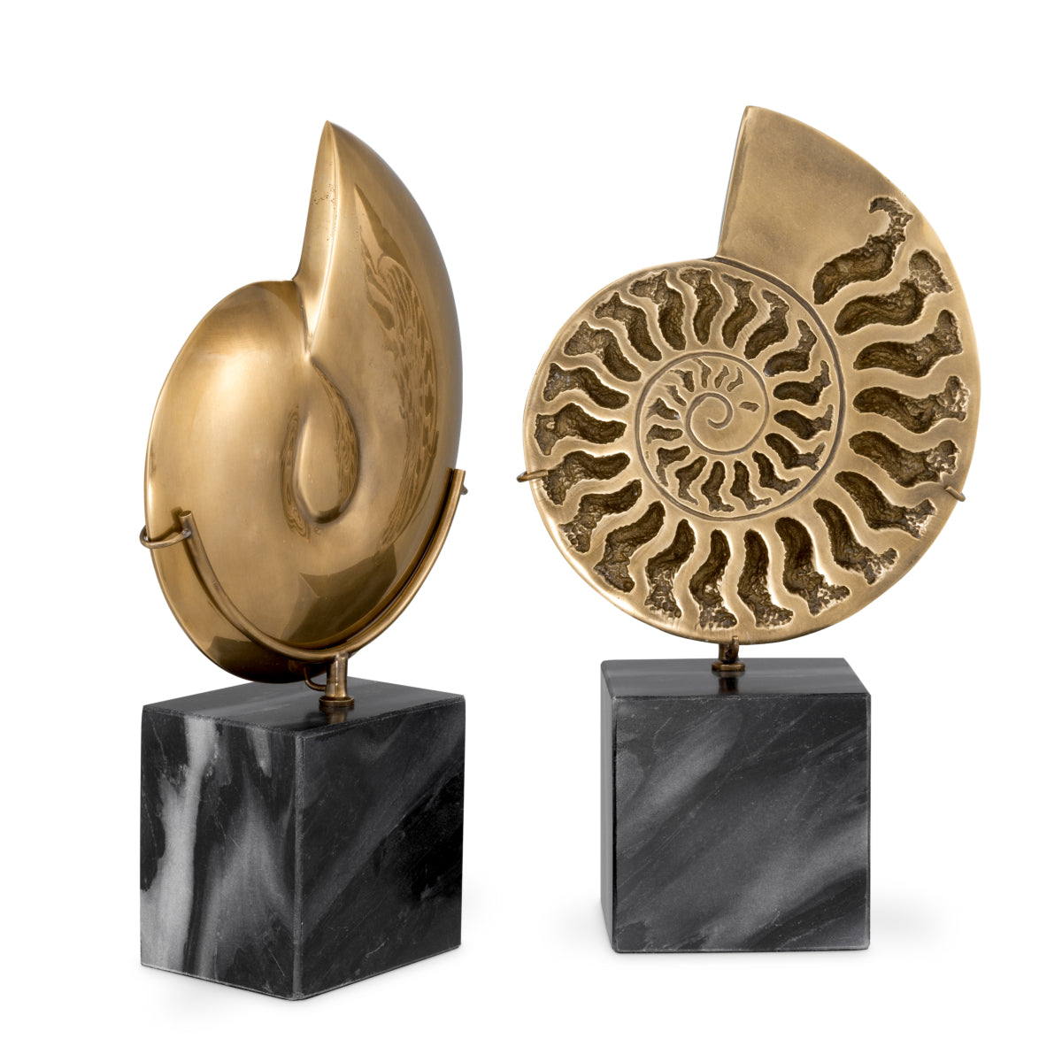 Vintage Object Set (2) Ammonite | Eichholtz Miami
