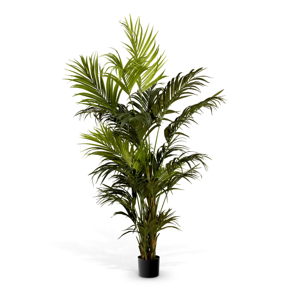 Green Artificial Plant Kentia Palm | Eichholtz Miami