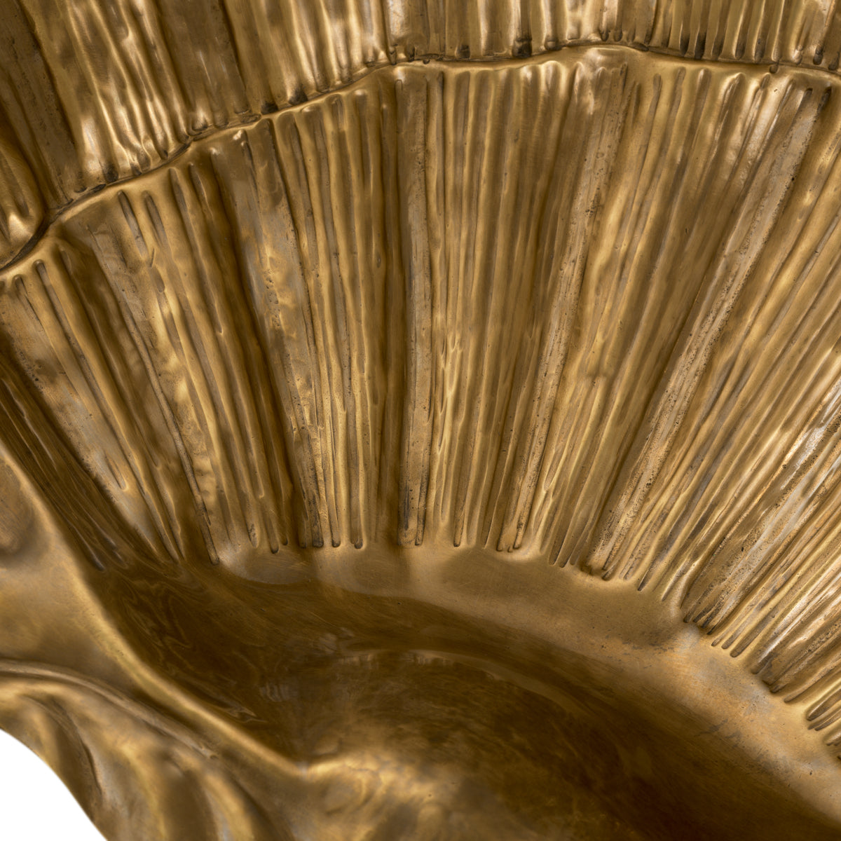 Gold Bowl Seashell | Eichholtz Miami