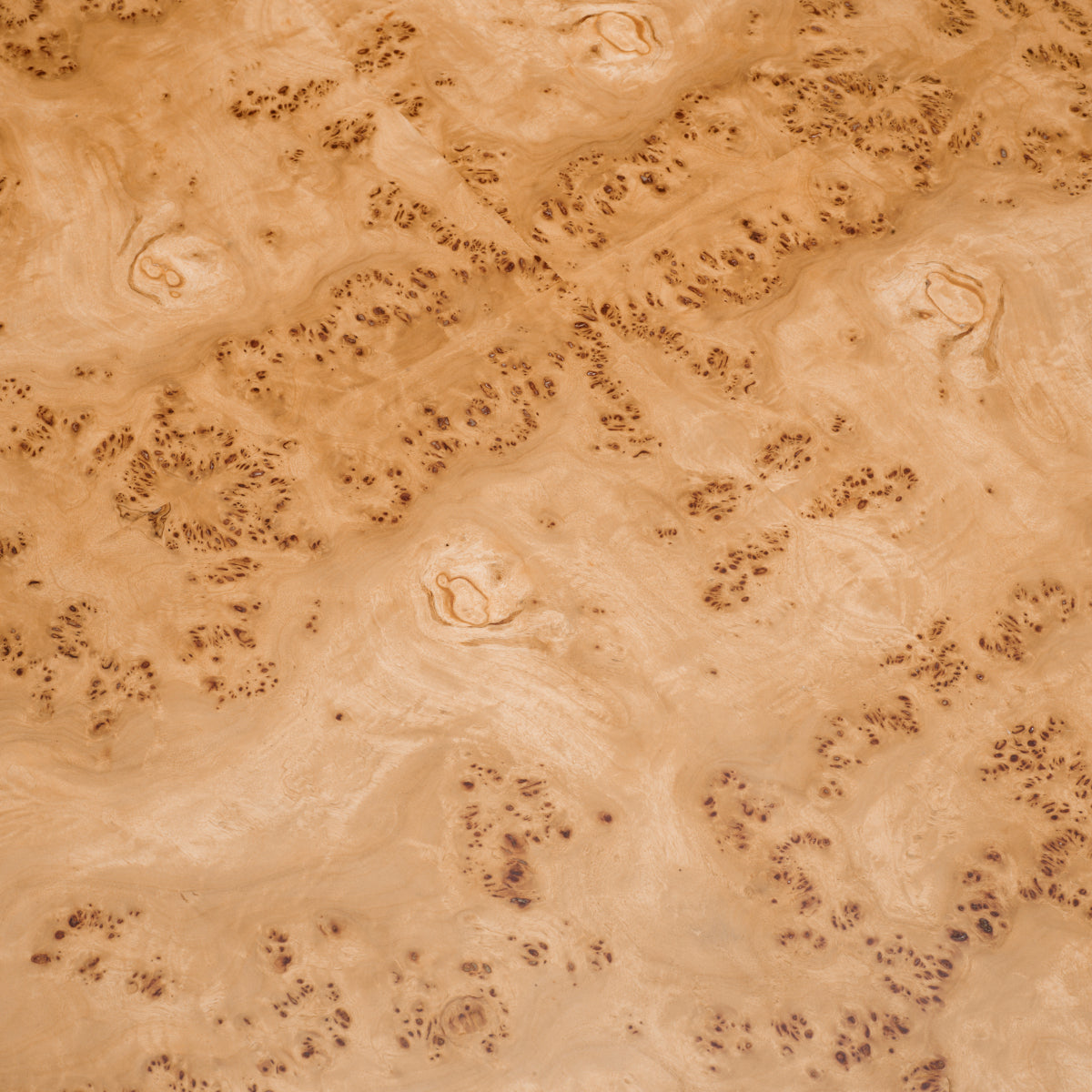 Mappa Burl Side Table Quinton | Eichholtz Miami