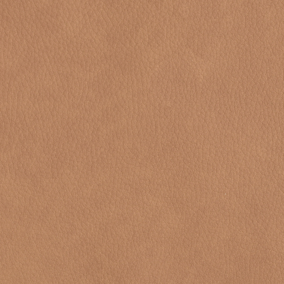 Leather Upholstered Dining Chair Donato | Eichholtz Miami