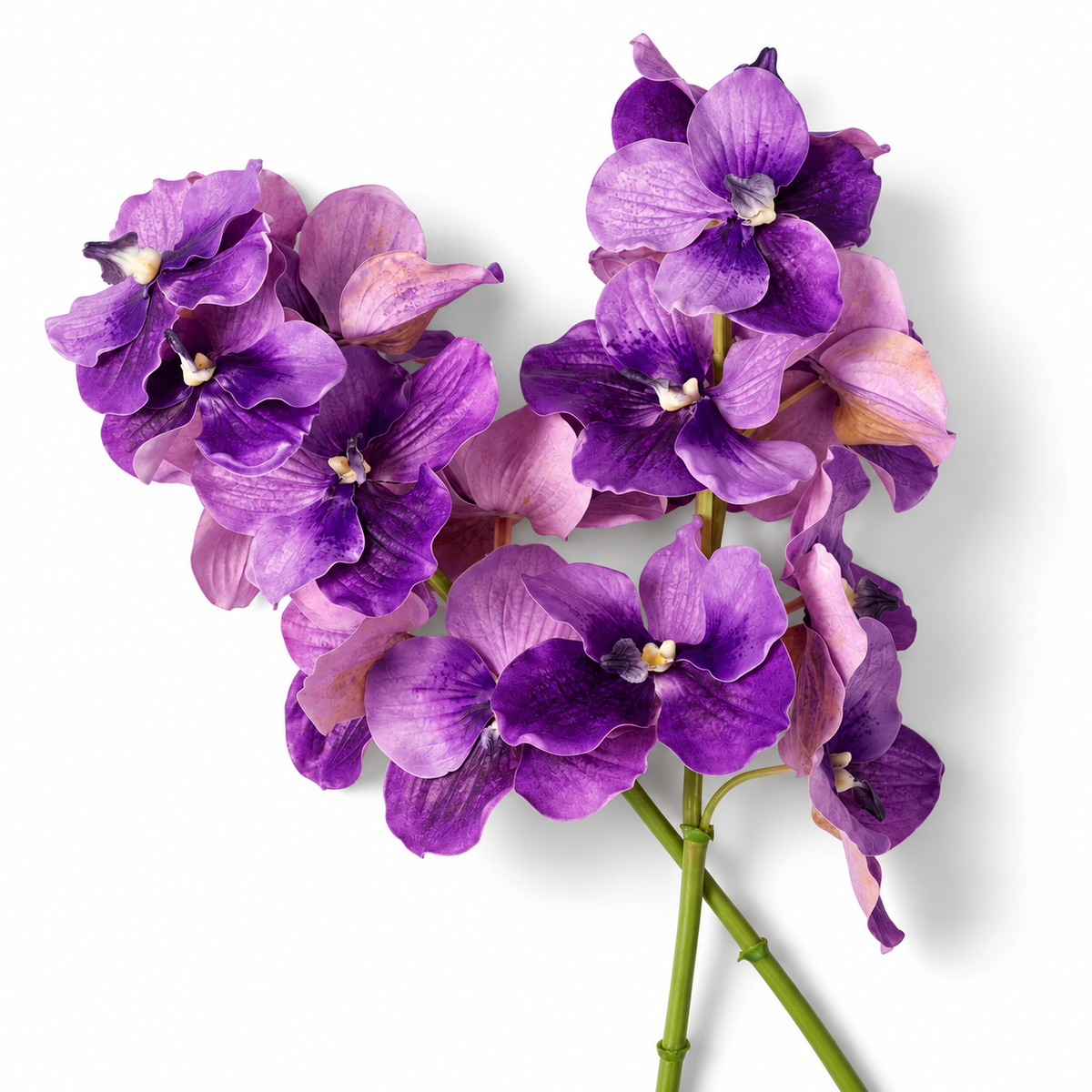 Bouquet of Artificial Flowers (24pcs) Vanda Orchids