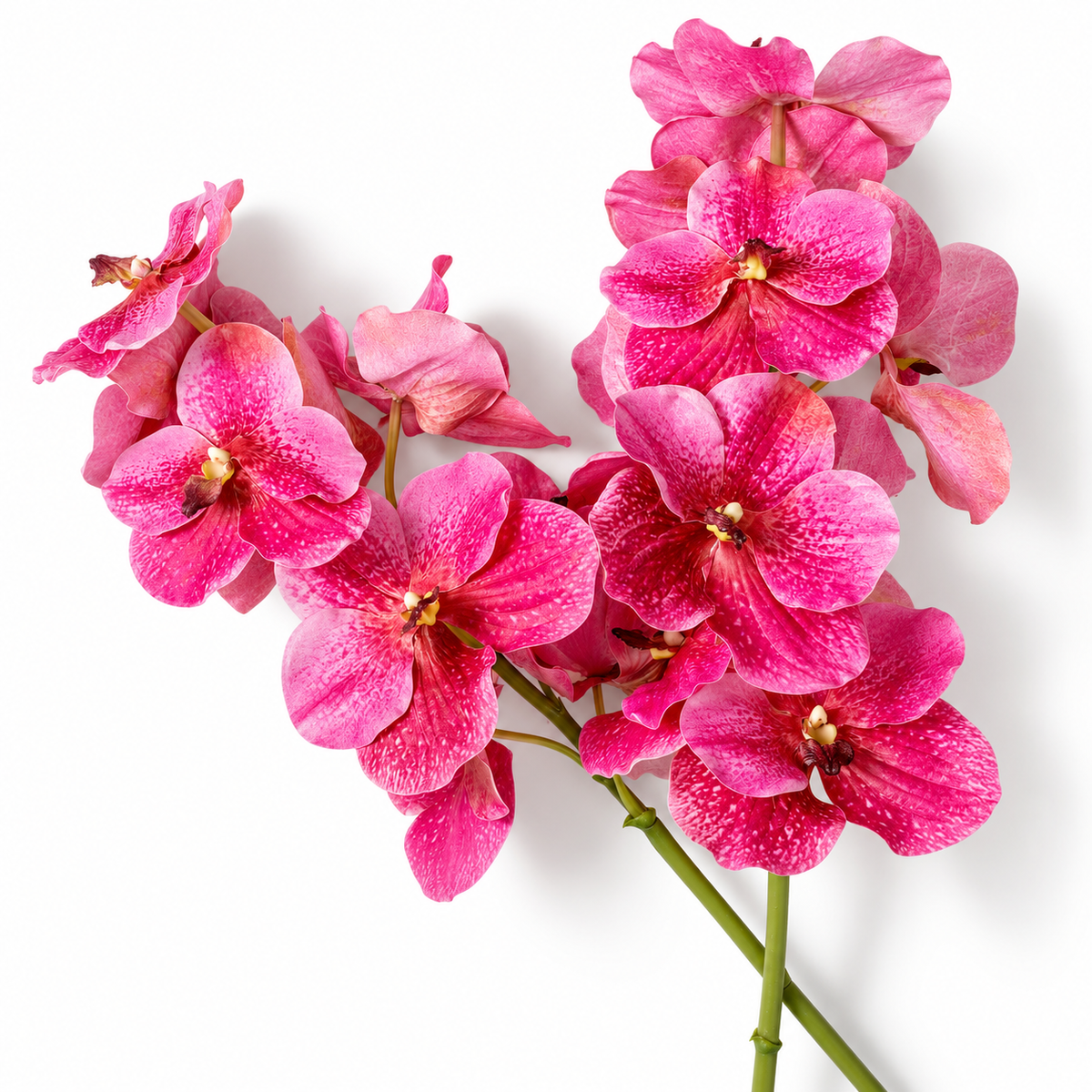 Bouquet of Artificial Flowers (24pcs) Vanda Orchids