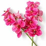 Bouquet of Artificial Flowers (24pcs) Vanda Orchids
