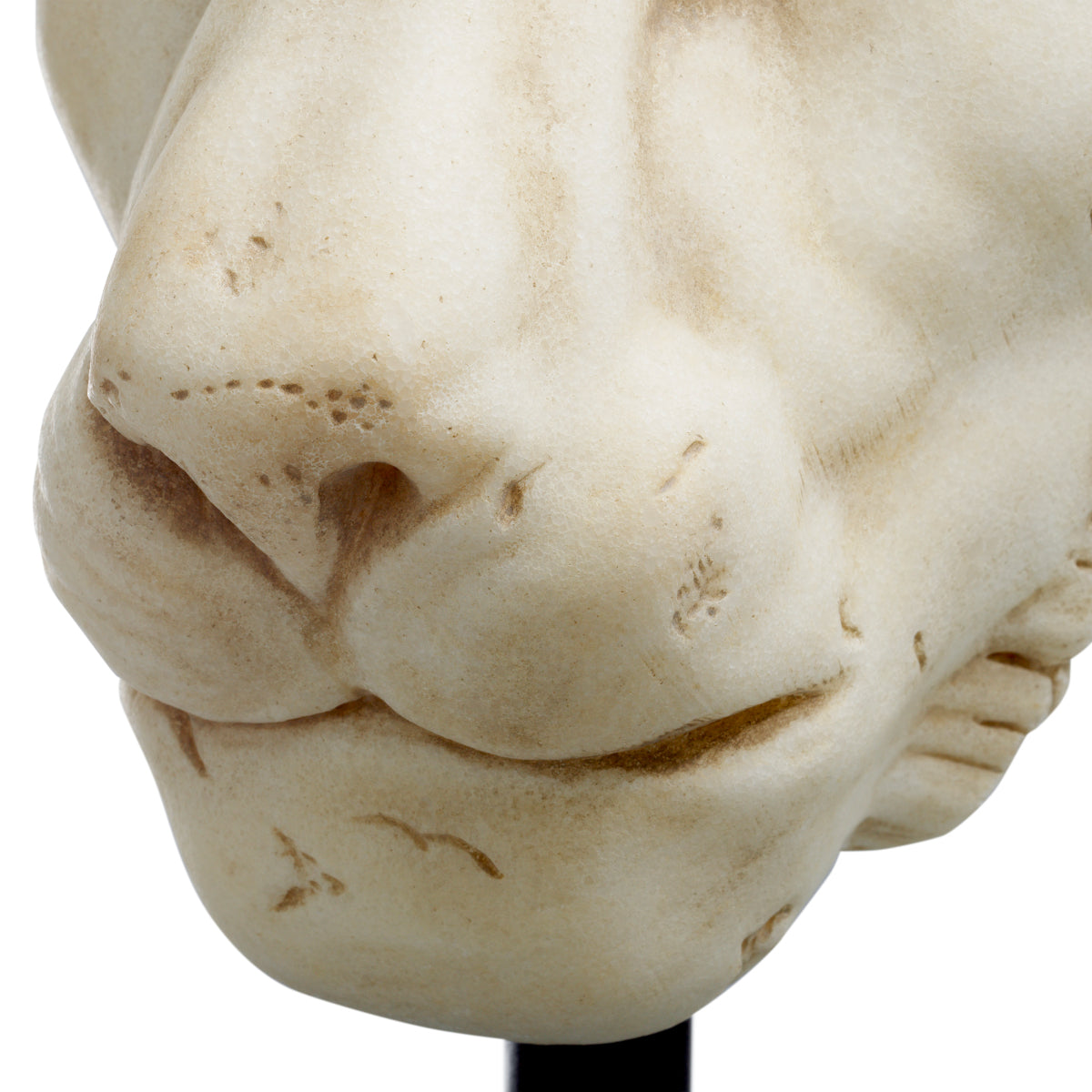 White Sandstone Lion Statue | Eichholtz Miami