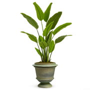 Green Artificial Plant Strelitzia