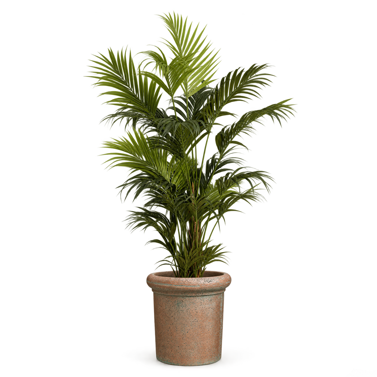 Green Artificial Plant Kentia Palm