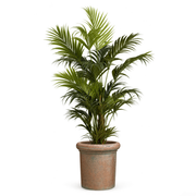 Green Artificial Plant Kentia Palm